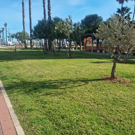 La Palmera *